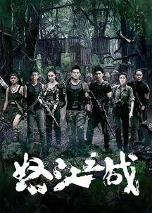 怒江之战电视剧全集在线观看,揭秘二战滇西战场惊心动魄的传奇故事  第1张